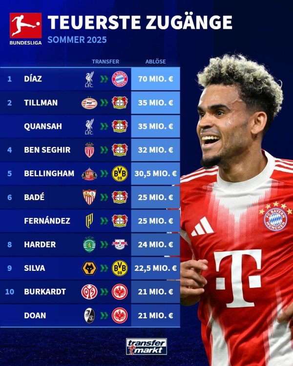 德甲今夏最贵引援出炉: 迪亚斯居首, 勒沃库森五东说念主上榜